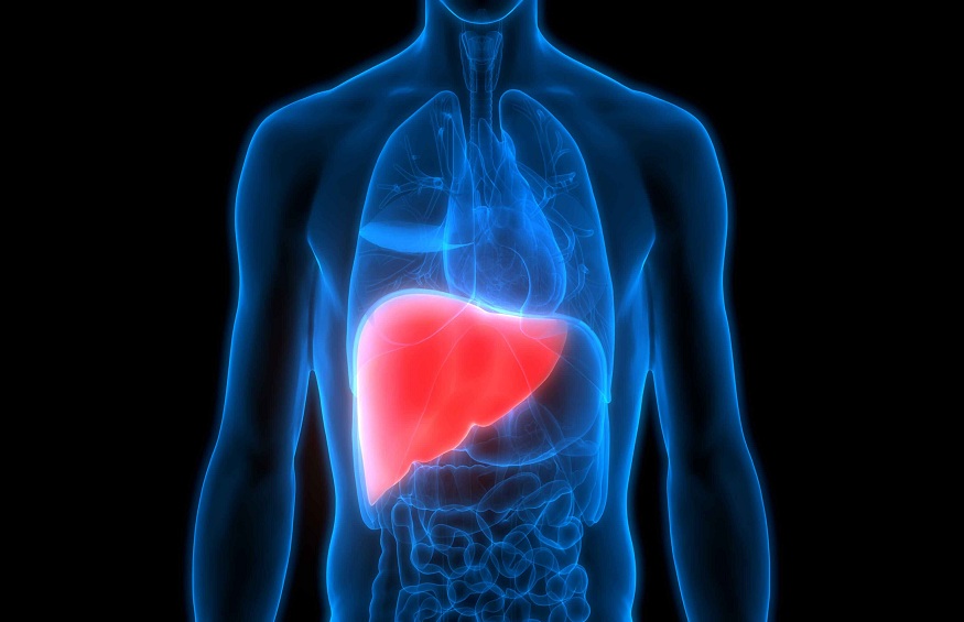 LIVER IS IN TROUBLE AND HOW TO FIX IT