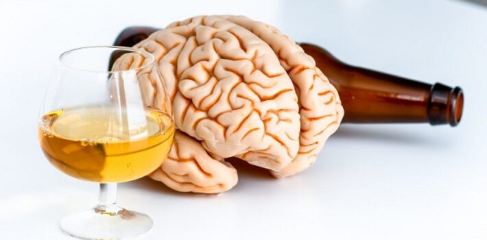Alcohol on the Brain